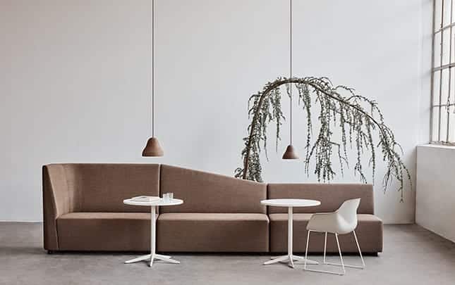 Office sofas, table and chairs in a room with a tree.