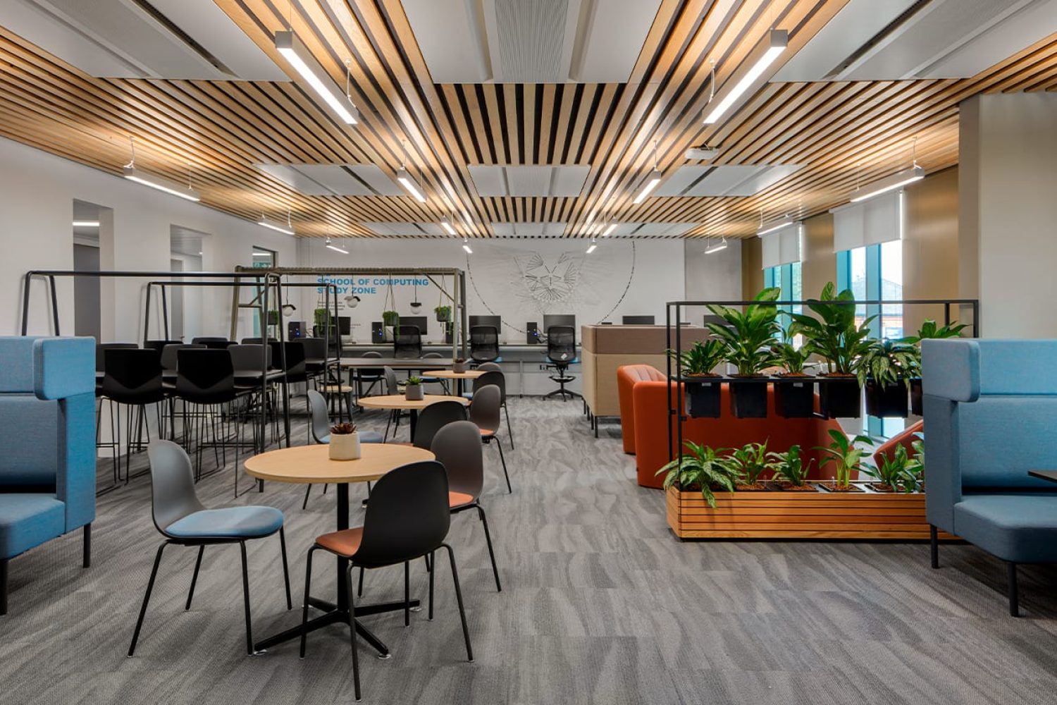 An office with blue office sofas, office tables and plants.