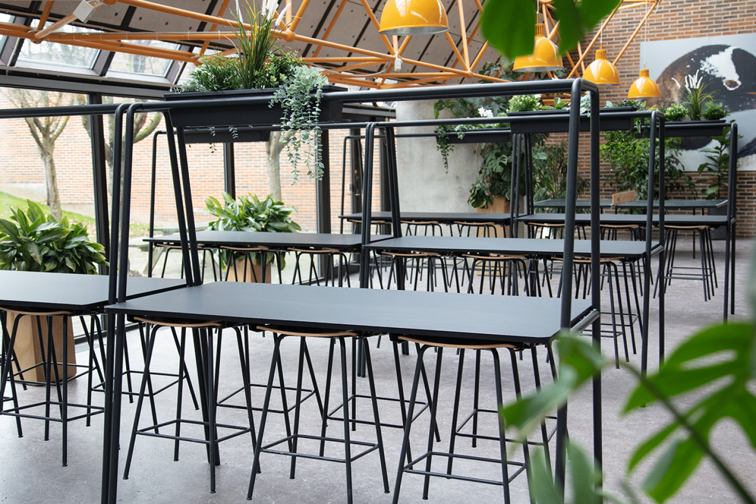 The interior of a canteen with canteen furniture, community tables and chairs.