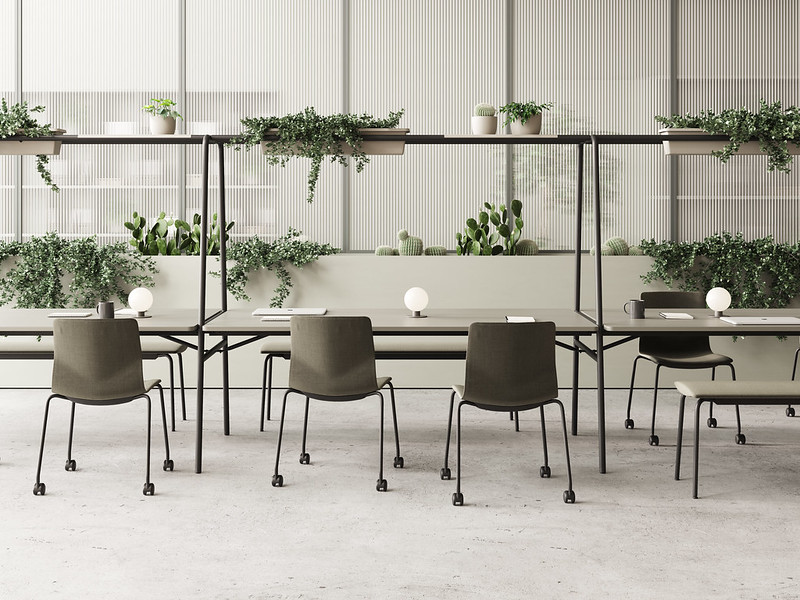 A dining room with a table, chairs and plants.