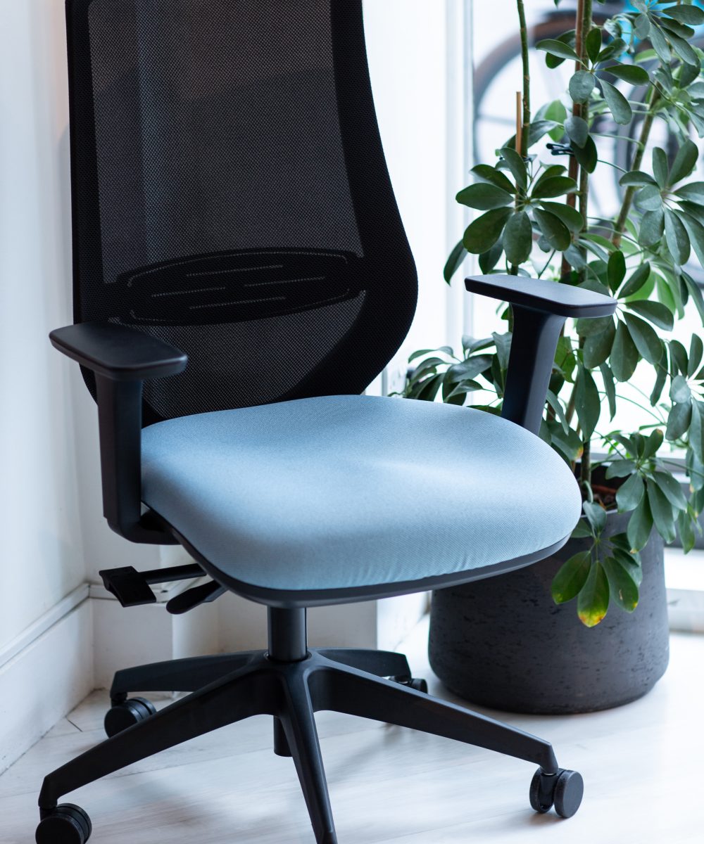 Emi Task Chair