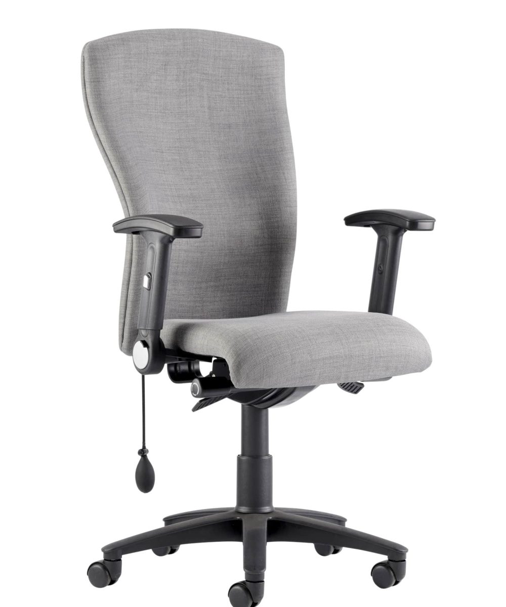 OCEE_FOUR – UK – Task Chair – Poise – Packshot Image (2) 2